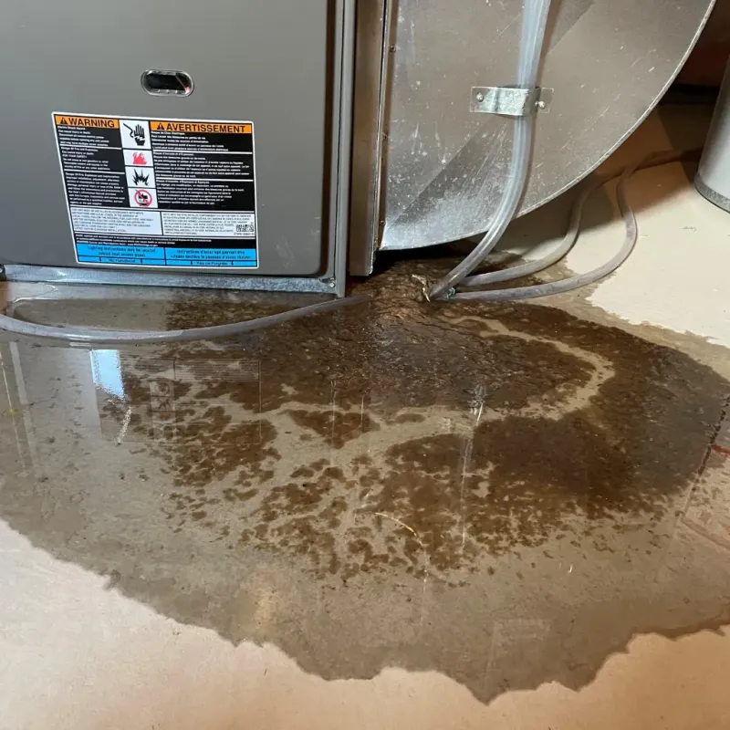 Appliance Leak Cleanup in Valmeyer, IL