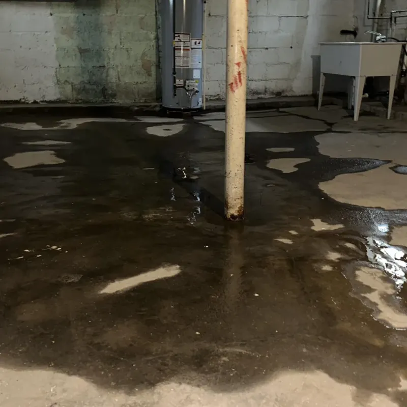 Emergency Water Extraction And Removal in Valmeyer, IL